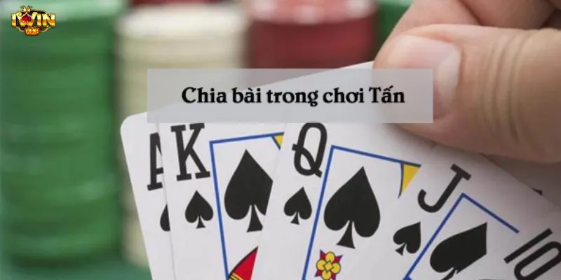 Khám phá các loại bài và cách tính điểm trong bài tấn